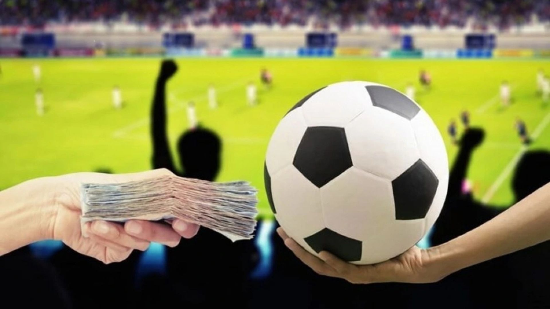 brasileirão série a campeão 2022 