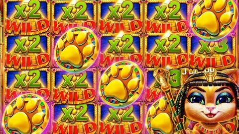 fortune tiger bet app 
