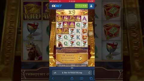 hobbysta kto to 