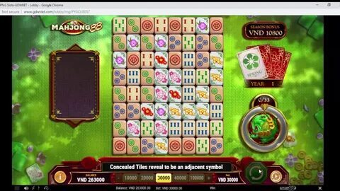 sorteador de bingo online 