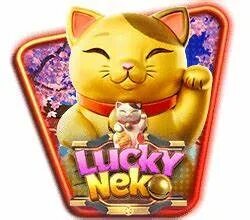 vbet cassino 